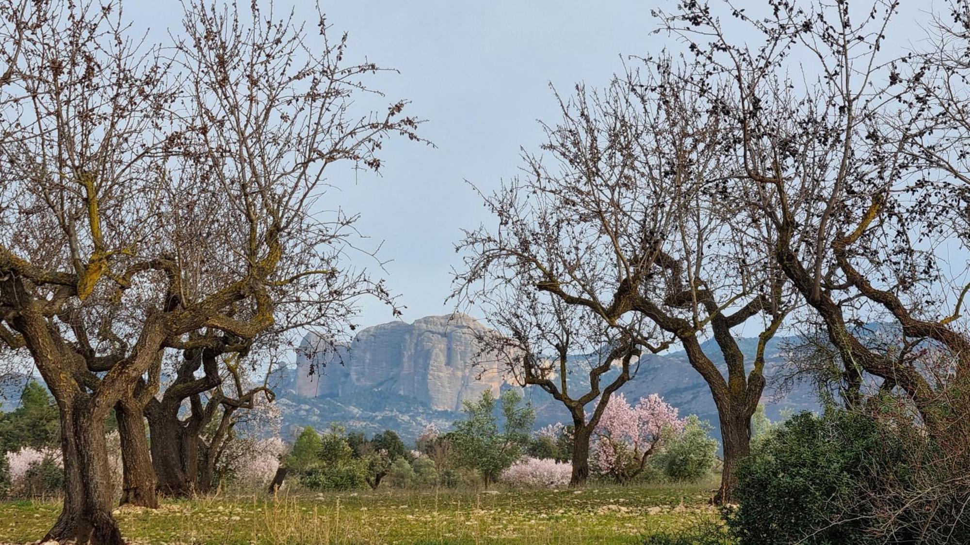 Les Valletes Arnés Exteriér fotografie