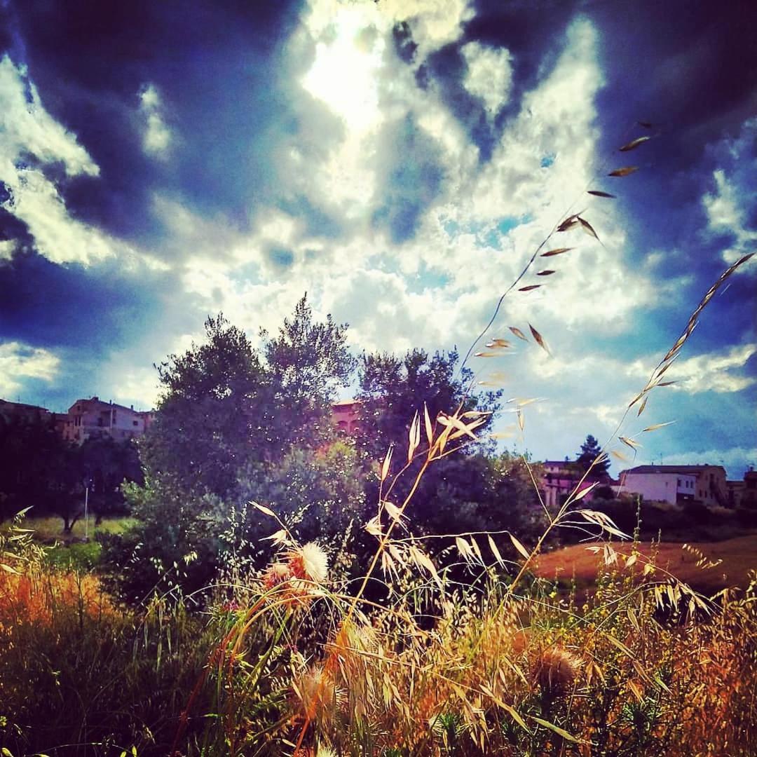Les Valletes Arnés Pokoj fotografie